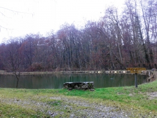 PRESSINS - ENTRE PRESSINS ET ST-JEAN-D AVELAUNE-isere