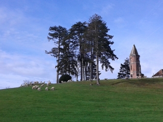 CHIMILIN - ETANG DE MALSEROUD-isere