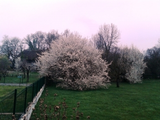 ARANDON - LE TOUR-isere