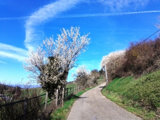 LA BATIE-DIVISIN-isere