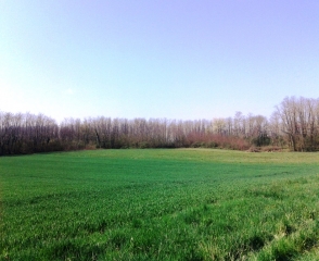 LA BATIE MONTGASCON - CHATEAU DE RENAUDET-isere