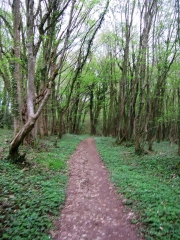 ST ALBAN DE ROCHE - ETANG DES TROIS EAUX-isere