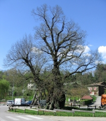 LA MURETTE - REAUMONT-isere