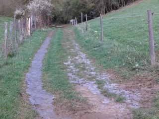 VILLENEUVE-DE-MARC - CIRCUIT DE SAINT JEAN-isere