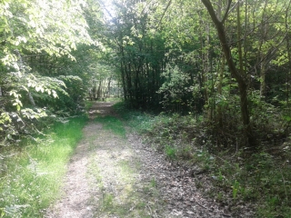 BOSSIEU - CHEMINS DES MOINES ET DES ETANGS-isere