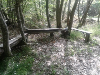 BOSSIEU - CHEMINS DES MOINES ET DES ETANGS-isere