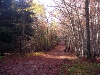 CHOLONGE - TOUR DE CANIER-isere