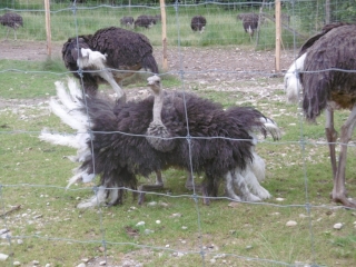 VEZERONCE - CITE DES PEINTRES DE MORESTEL-isere