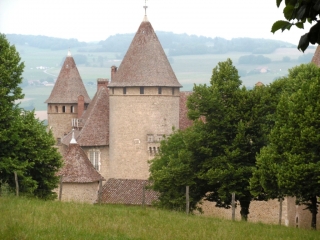 VIRIEU - BOIS DES COTES DU GAY-RIPAILLON-isere