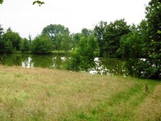 COURS LE VEYRON - CRETE DE SAINT PIERRE DE BRESSIEUX-isere