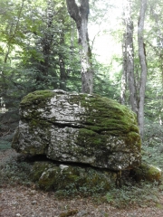 BOUCLE MIRIBEL - COL DES 1000 MARTYRS-isere