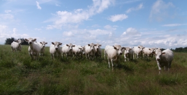 SEMONS - TOUR DES 7 ETANGS-isere