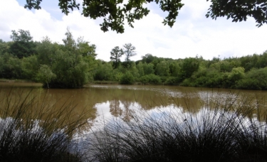 SEMONS - TOUR DES 7 ETANGS-isere