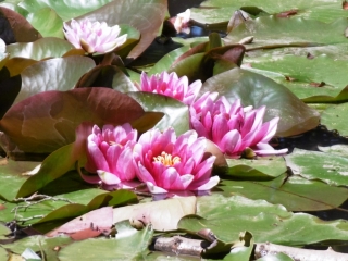 NANTOIN - RALLYE DES ETANGS-isere