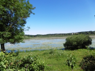 COURTENAY - 5 ETANGS-isere