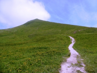 LES REVOLS - CHARMANT SOM PAR LES COTTAVES-isere