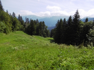 LES REVOLS - CHARMANT SOM PAR LES COTTAVES-isere