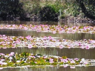 NANTOIN - TOUR DES NEUF ETANGS-isere
