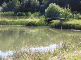 SAINT SIXTE - AUTOUR DES BERNADES ET BARACUCHET-isere