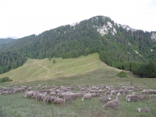 LA RUCHERE - PETIT SOM - GRAND SOM-isere