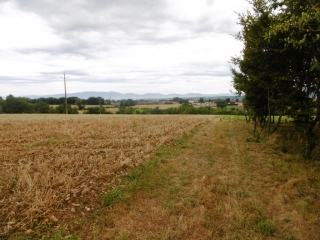 MONTSEVROUX - FORET DE TARAVAS-isere