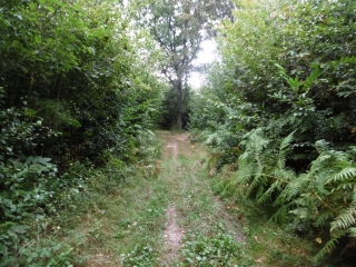 MONTSEVROUX - FORET DE TARAVAS-isere