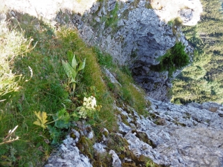 AUTRANS - LA BUFFE - LE PAS DE CLE-isere