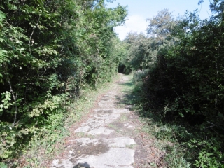 DIZIMIEU - BOIS PERRIER ET FONTENAILLE-isere