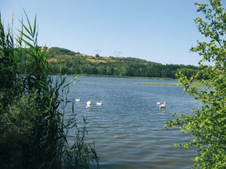 SAINT-QUENTIN-FALLAVIER - ETANG FALLAVIER - CHATEAU-isere