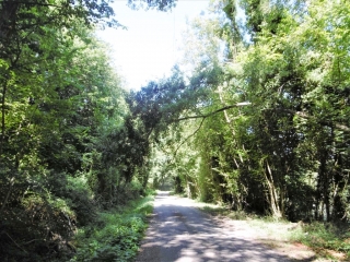 GRANIEU - TOUR DES MARAIS-isere