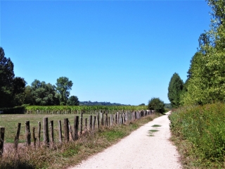 GRANIEU - TOUR DES MARAIS-isere