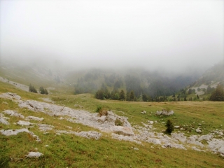 POMAREY - BOUCLE SOUS LA GRANDE SURE-isere