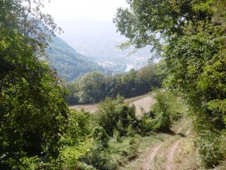 SAINT-EGREVE - TOUR DU MONT NERON-isere