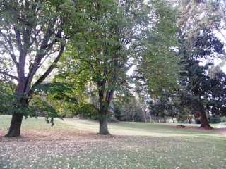 SAINT-QUENTIN-FALLAVIER - MONT RELONG-isere