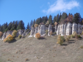 ENGINS - LA MOLIERE - CHARANDE-isere