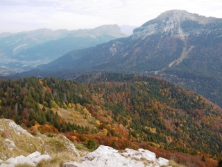 SARCENAS - LA PINEA-isere