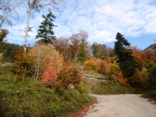 SARCENAS - LA PINEA-isere
