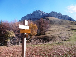 SAINT-PIERRE-EN-CHARTREUSE - CIRCUIT BILLON-isere