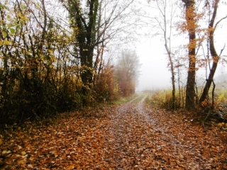 MORESTEL - ROCHE PLAGE - LE VERNAY-isere
