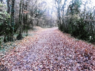 MORESTEL - ROCHE PLAGE - LE VERNAY-isere
