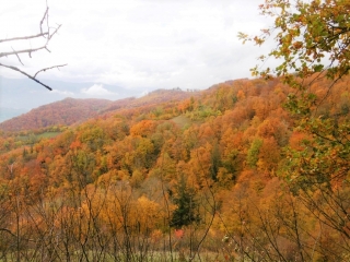 MORETTE - AUTOUR DU SONUT-isere