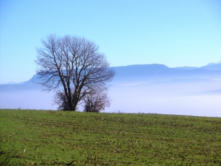 DOISSIN - ENTRE DOISSIN ET VAUX-isere