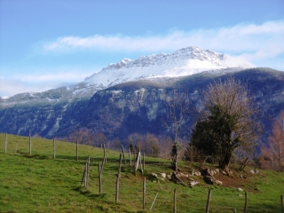 SAINT-JULIEN-DE-RAZ - LE GRAND BACHAT - ROCHE BRUNE-isere