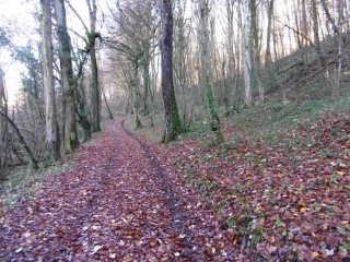 LA CHAPELLE-DE-LA-TOUR - LES ETANGS-isere