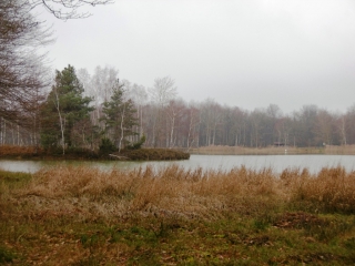 SAINT-PIERRE-DE-BRESSIEUX - GRAND TOUR-isere
