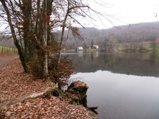 SAINT-DIDIER-DE-BIZONNES - LES 5 ETANGS-isere