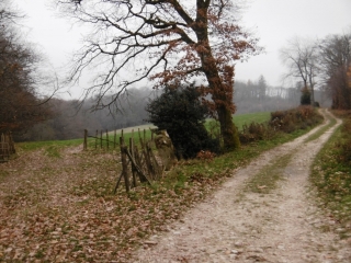 SAINT-DIDIER-DE-BIZONNES - LES 5 ETANGS-isere