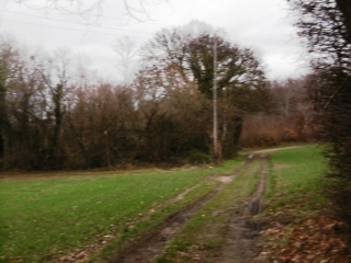 CHEZENEUVE - DU BOIS VACHERESSE AU REVOLET-isere