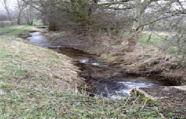 DOISSIN - MONTREVEL - BIOL PAR LES MARAIS ET LES CIGOGNES-isere