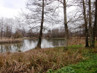 LE PONT-DE-BEAUVOISIN - ETANG DE LA COMBE ET LE MARAIS-isere